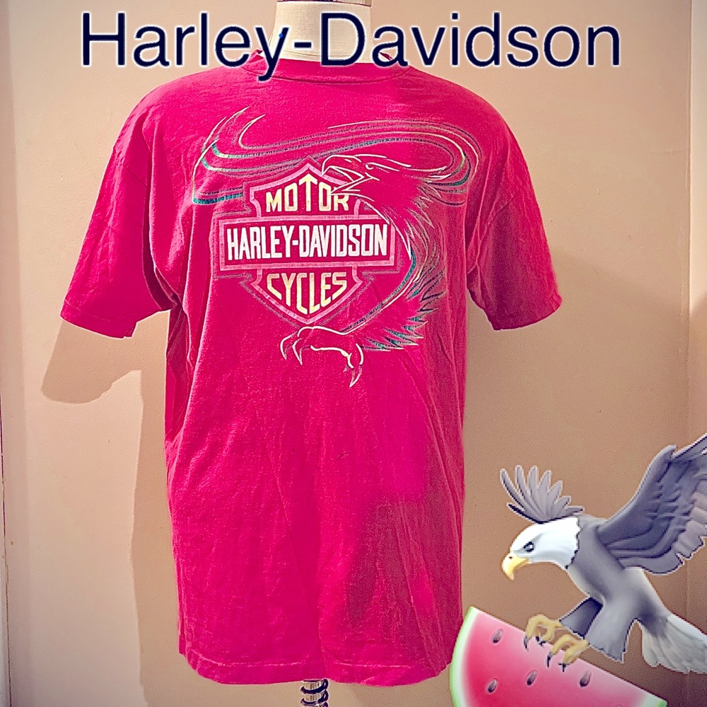 Harley-Davidson Raleigh North Carolina vintage T-shirt